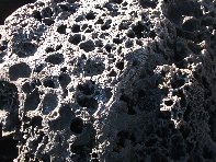 i Trezza-20110311 008
